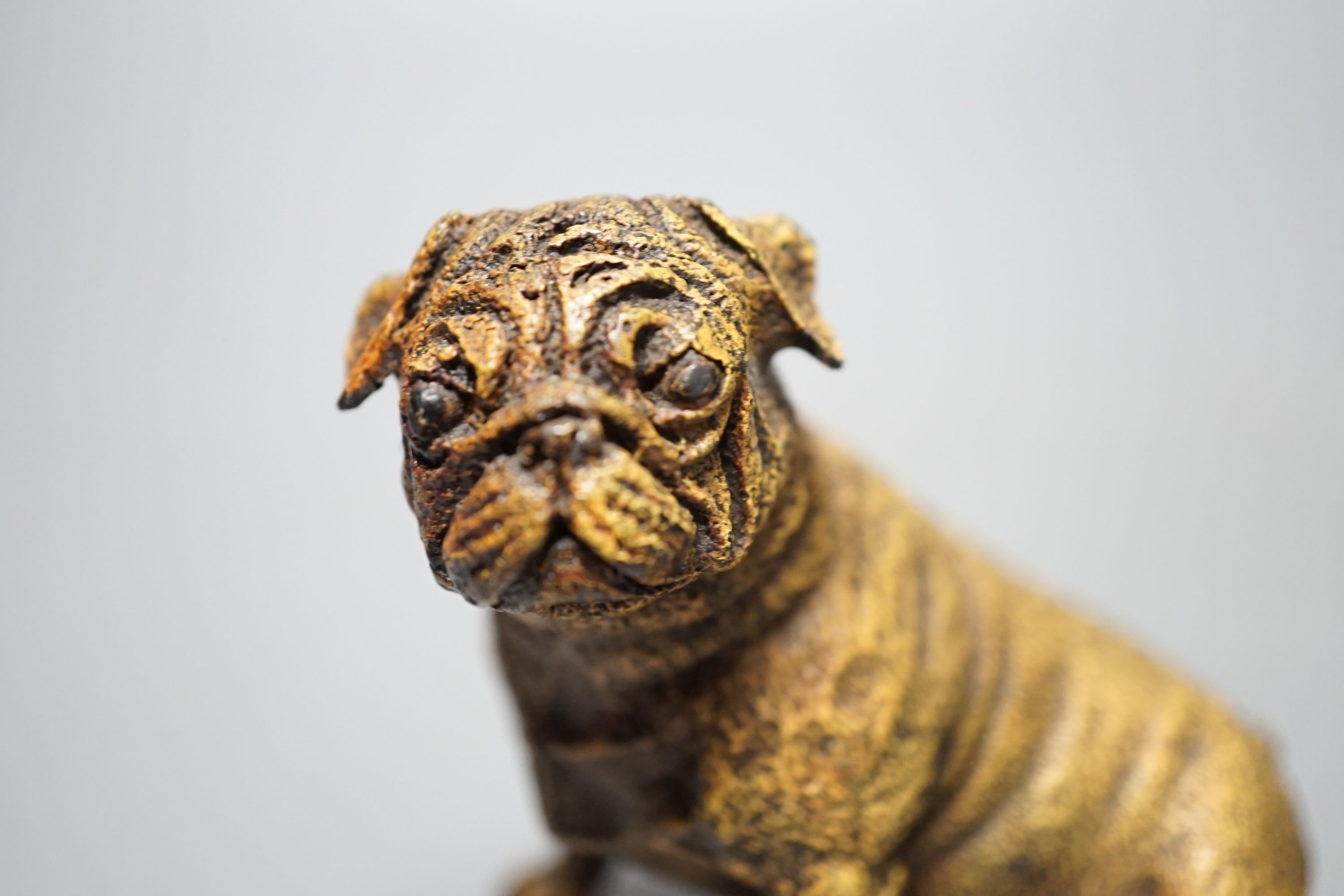 Two cold painted bronzes, a pug and a bulldog, with applied discs reading ‘GESCHUTZT’. 14cm